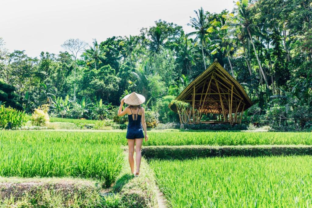 Вилла Luxenomads Tanah Lot Oceanview Escape Табанан Экстерьер фото